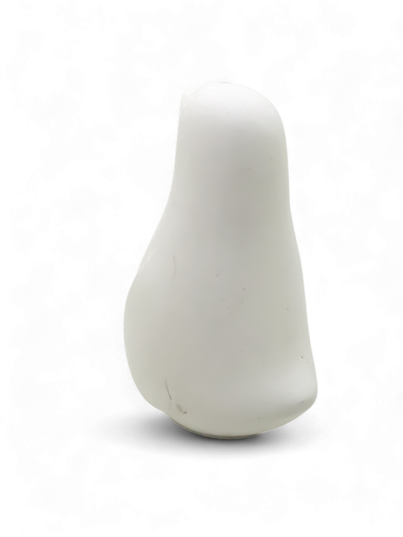 Little Penguin Leeuwin - Afbeelding 4