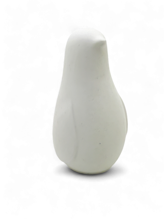 Little Penguin Leeuwin