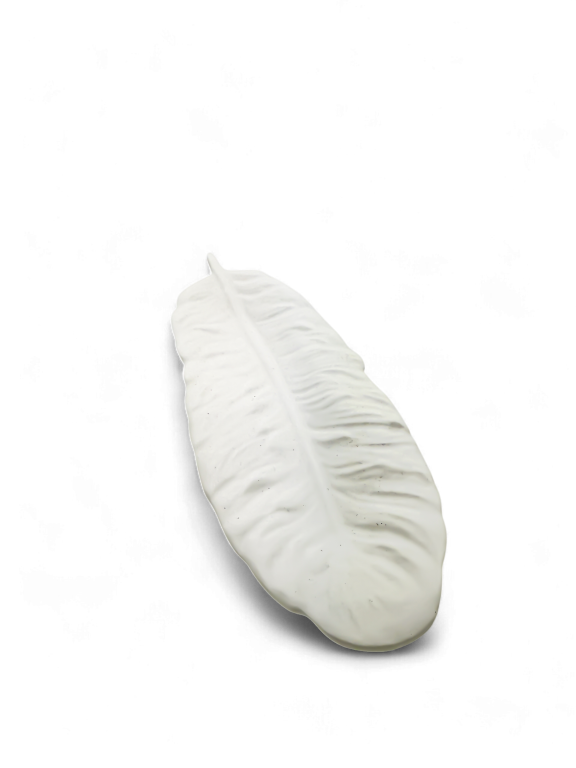 Feather Fancy - Afbeelding 2