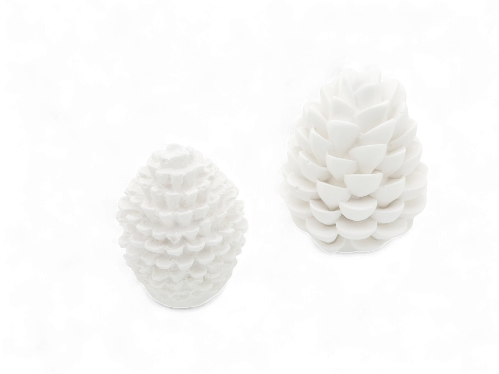 Evergreen Duo - Afbeelding 2