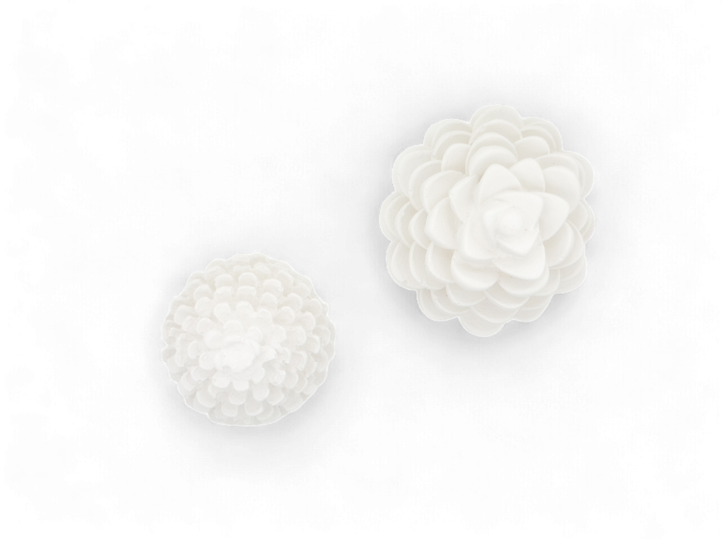 Evergreen Duo - Afbeelding 3