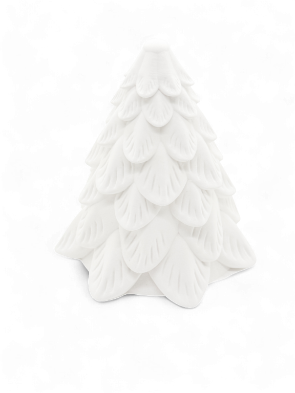 Evergreen Silhouette